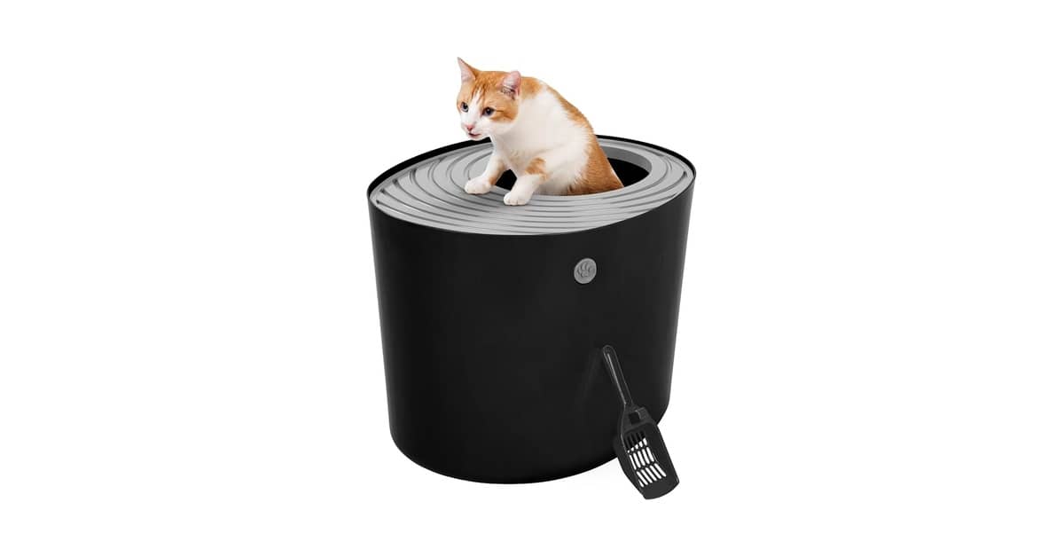 Melhores Caixas de Areia com Entrada Superior para Gatos: Adeus Sujeira