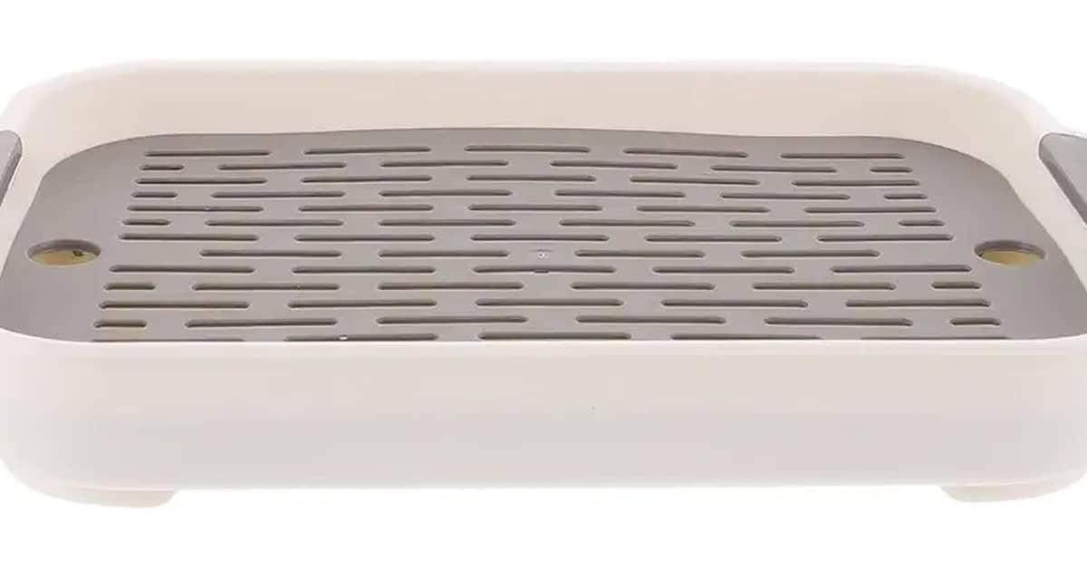 Melhores caixas de areia para coelho: 10 Modelos