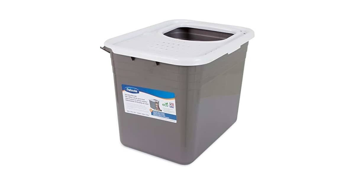 Melhores Caixas de Areia para Gatos com Filtro de Carvão: Qual a Ideal?