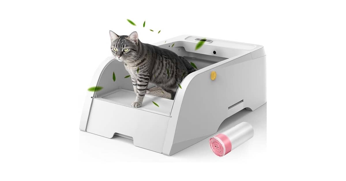 Melhores Caixas de Areia Para Gatos Que Não Espalham Odor: Top 10