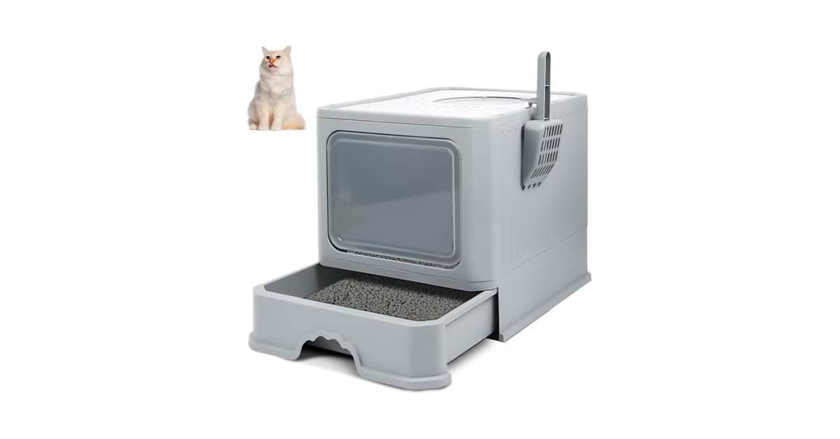 Melhores Caixas de Areia para Gatos que não Gostam de Porta: Top 8 Modelos