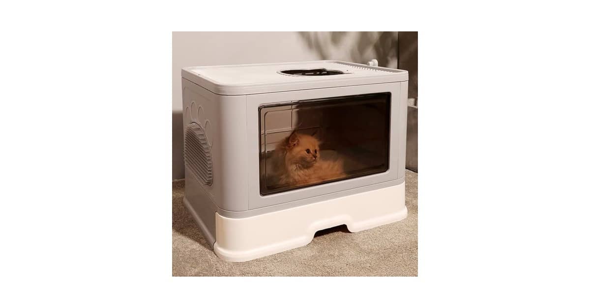 Melhores caixas de areia que reduzem odores: Guia