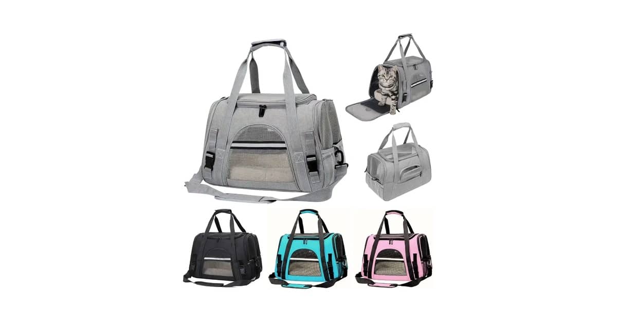 Melhores Caixas de Transporte para Viagens de Carro: 10 Opções Seguras