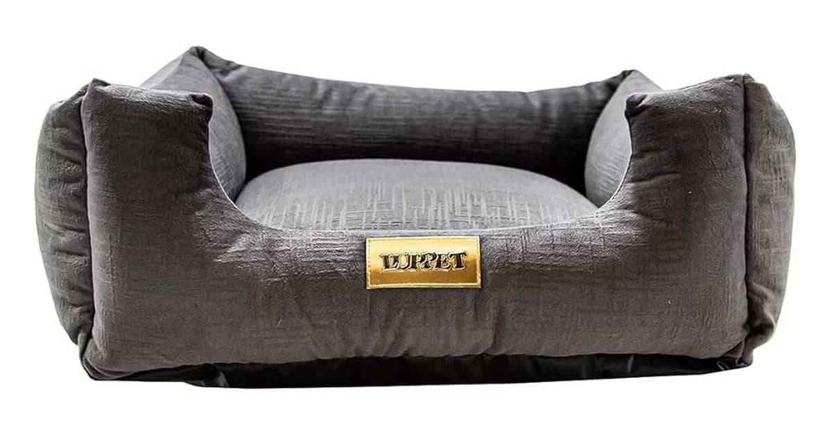 Melhores camas para cachorro de porte grande: Top 10