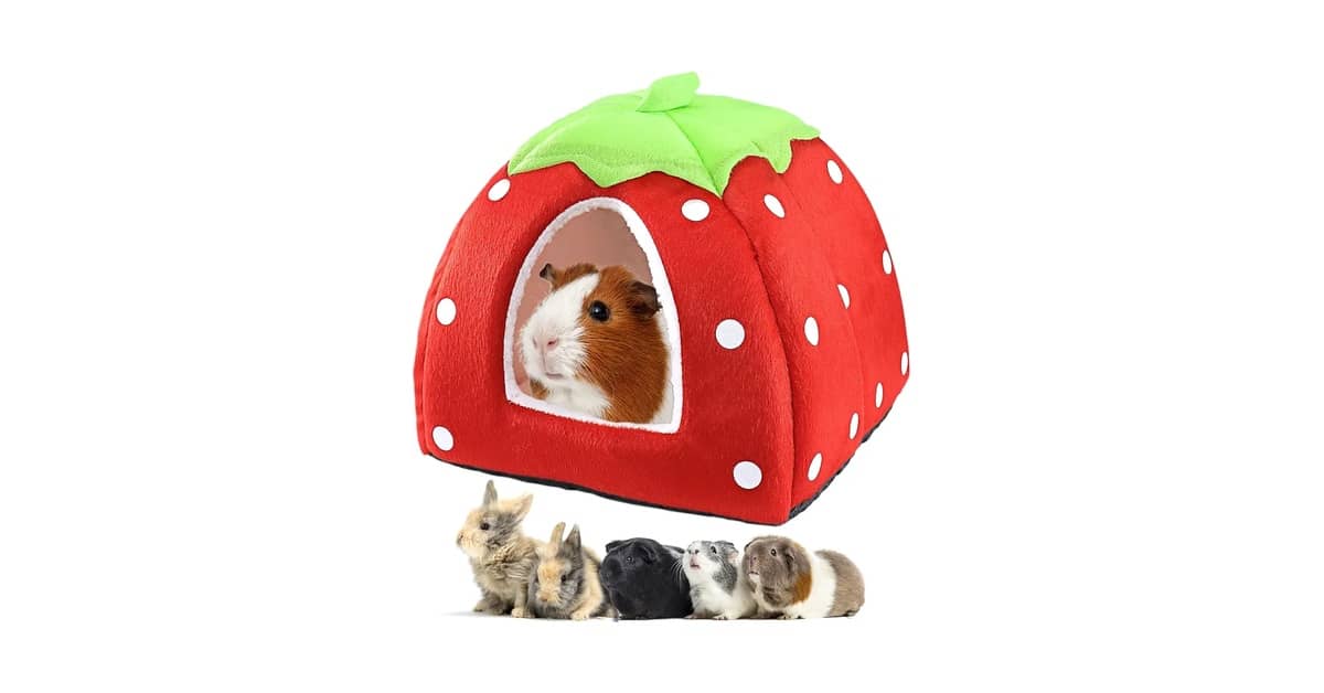 Melhores Camas para Furão: Guia de Redes e Tocas