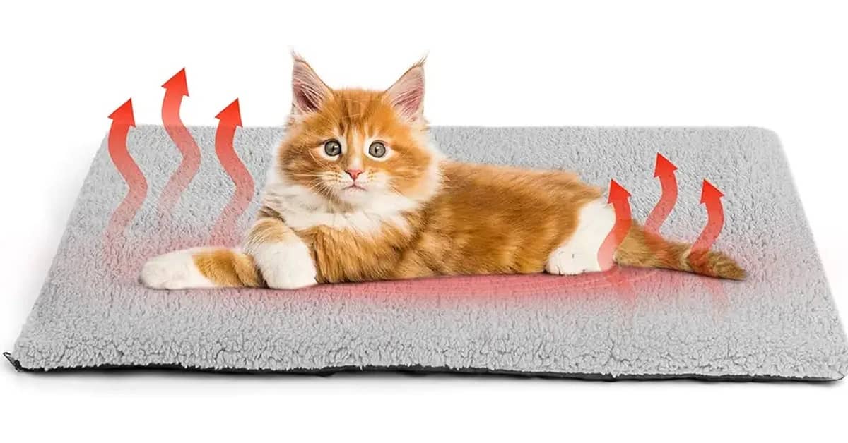 Melhores Camas para Gatos com Aquecimento: Elétrica ou Térmica?
