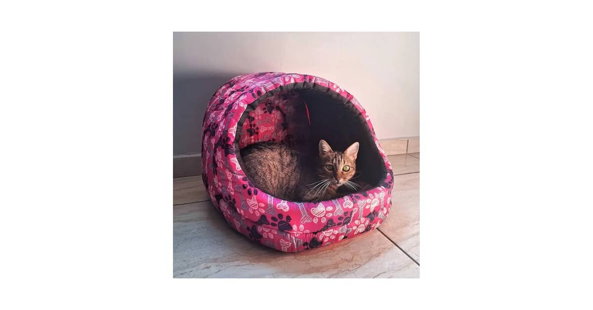 Melhores Camas para Gatos que Gostam de se Esconder: Guia Top 10