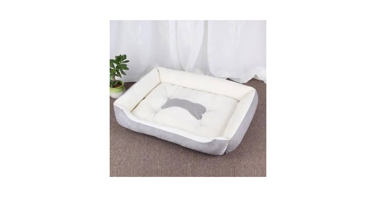 Melhores Camas para Gatos: Do Modelo Toca à Rede