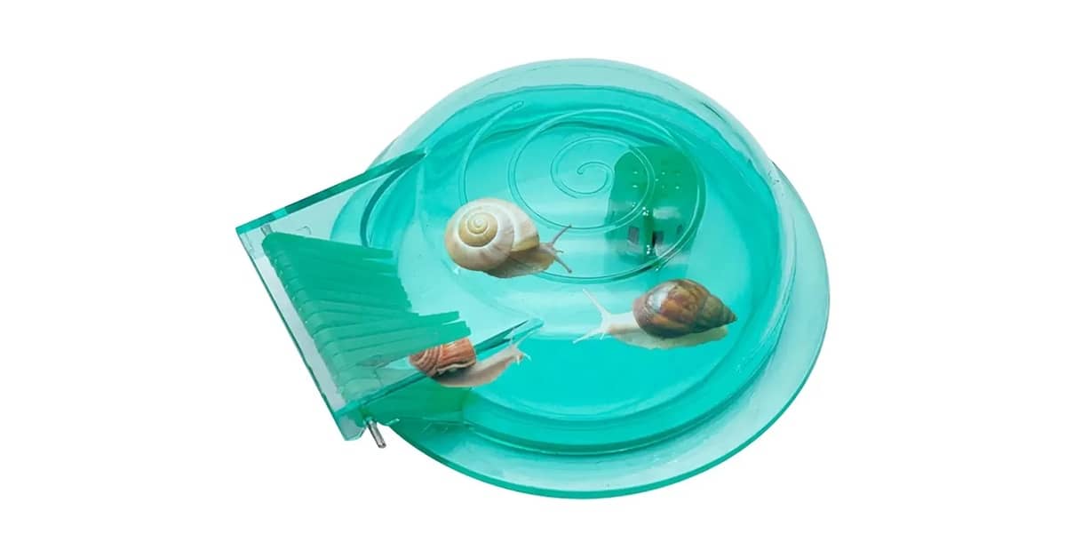 Melhores caracóis para limpeza de aquário: Top 10