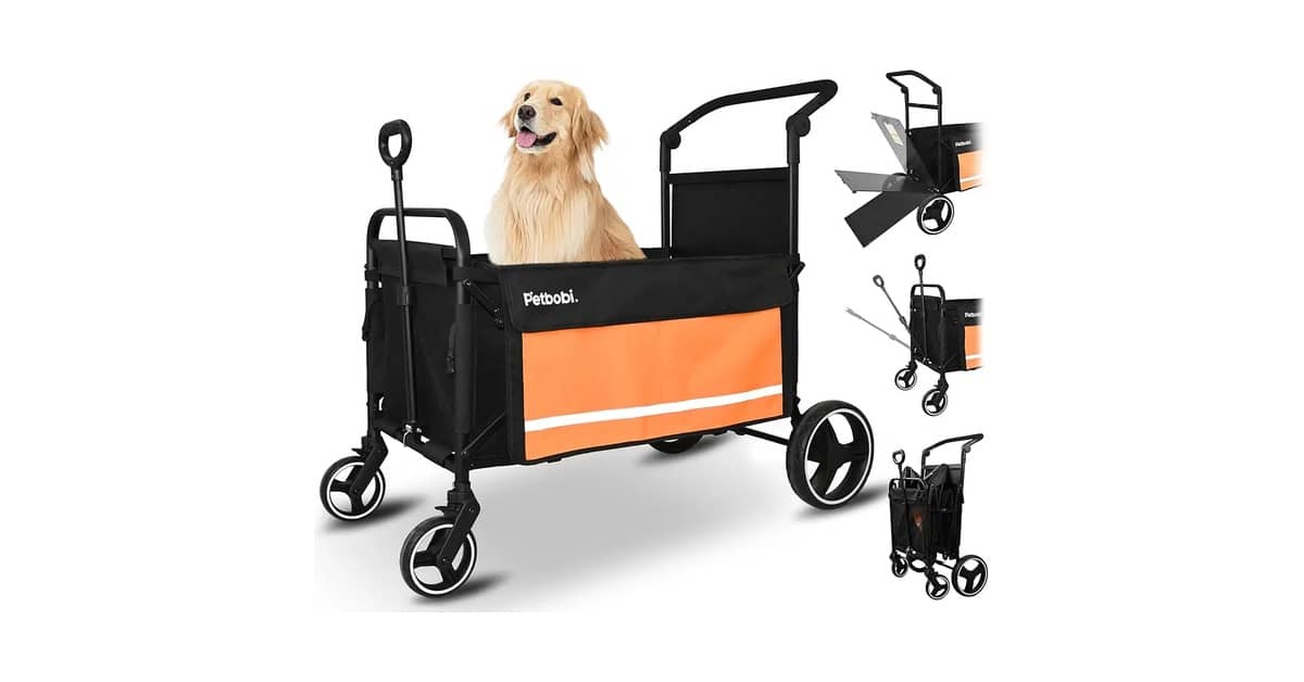 Melhores carrinhos de passeio para cachorro idoso ou com deficiência: Qual o Mais Seguro?