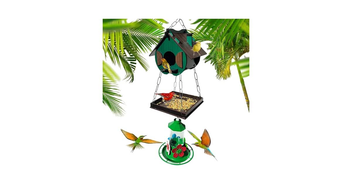 Melhores Casas de Passarinho: Madeira vs Ecológica