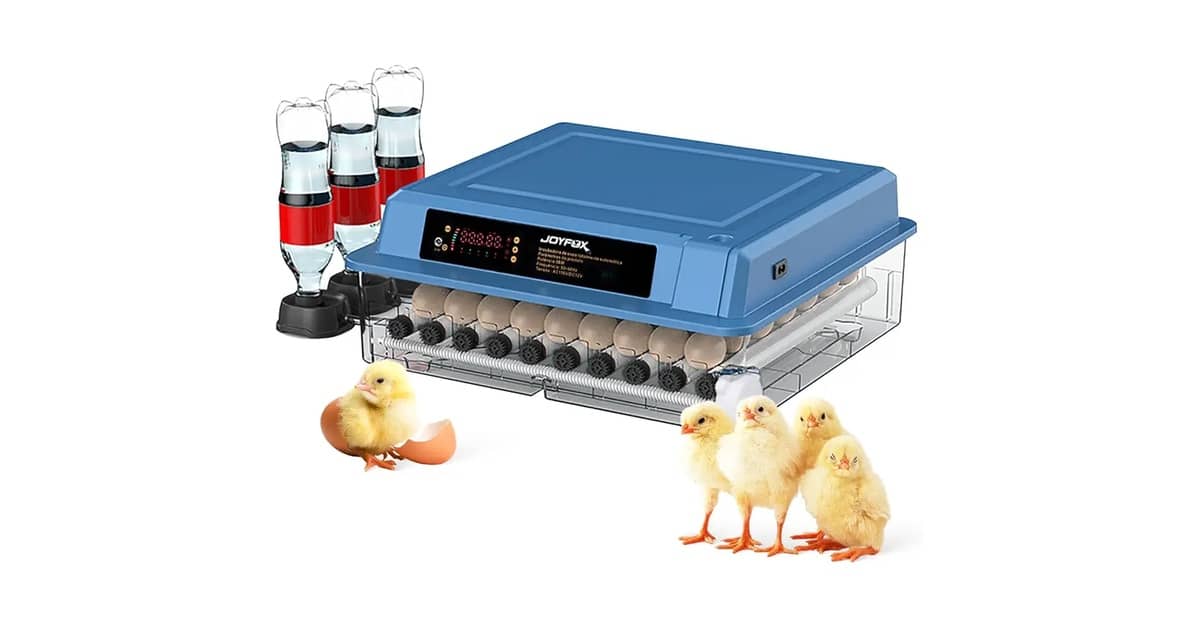 Melhores Chocadeiras Automáticas para Alta Eclosão