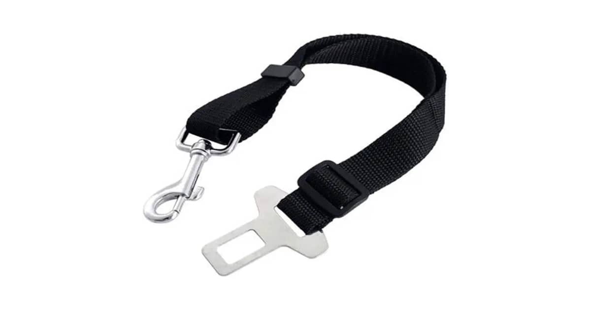 Melhores Cintos de Segurança para Cachorro no Carro: Qual Escolher?