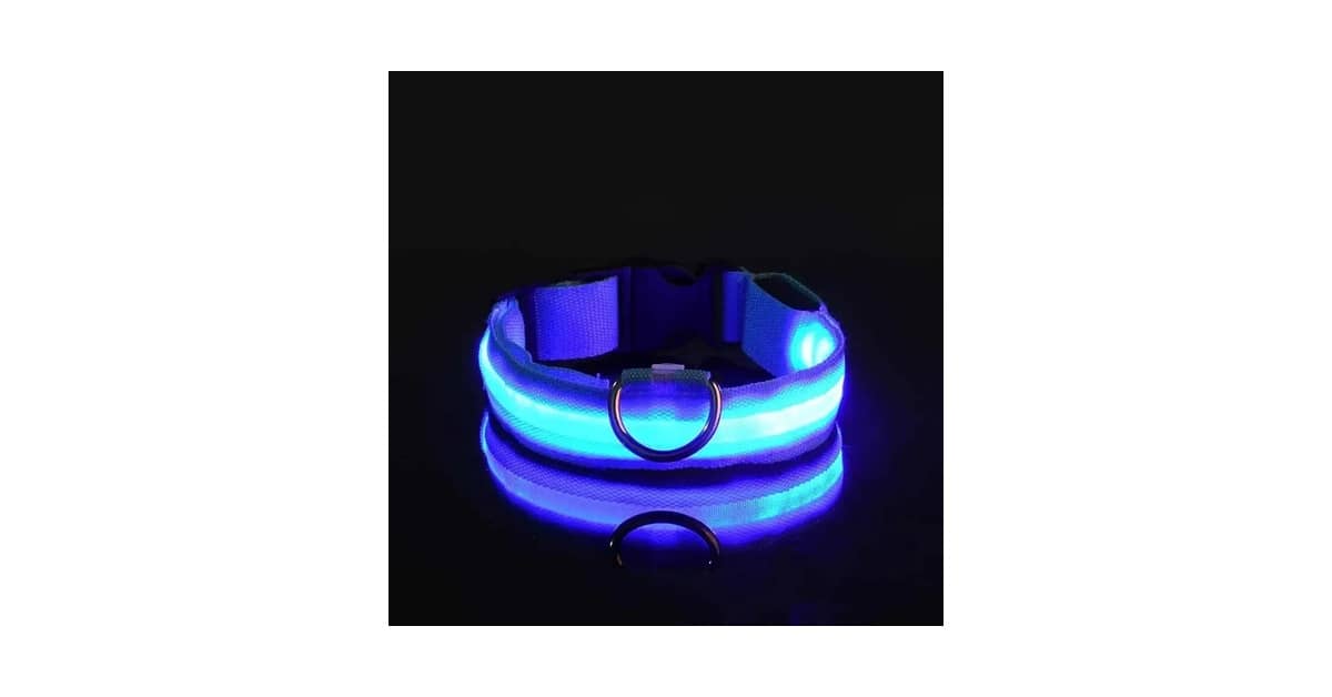 Melhores Coleiras Luminosas Para Passeios Noturnos: Guia de Segurança