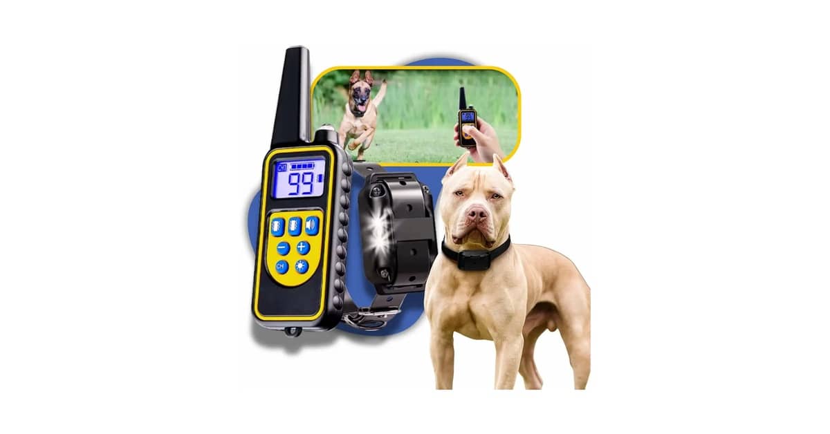 Melhores Coleiras para Adestramento de Cães: Guia Definitivo de Compra