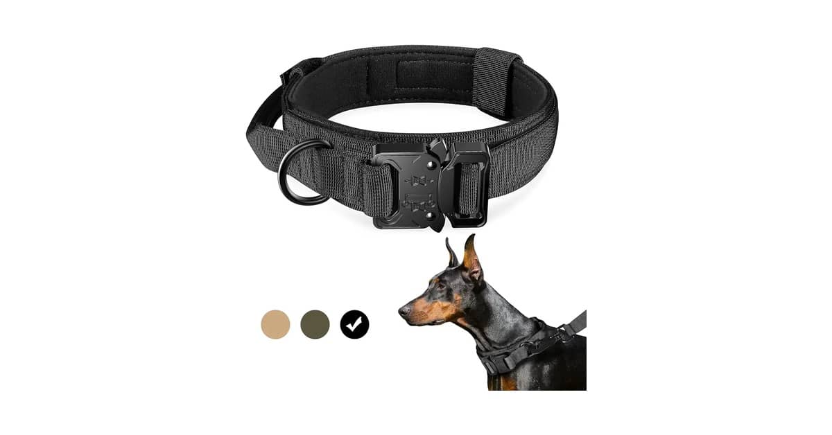 Melhores Coleiras para Cachorro com Alça de Controle para Cães Fortes