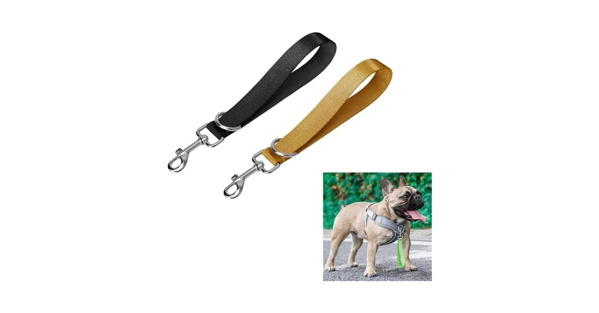 Melhores coleiras para cachorro com guia curta: 4 Modelos Seguros
