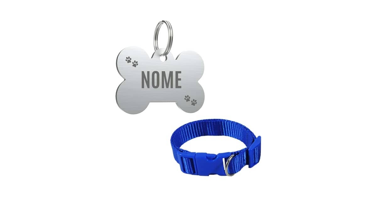 Melhores Coleiras para Cachorro com Nome e Telefone: Bordada ou Laser?