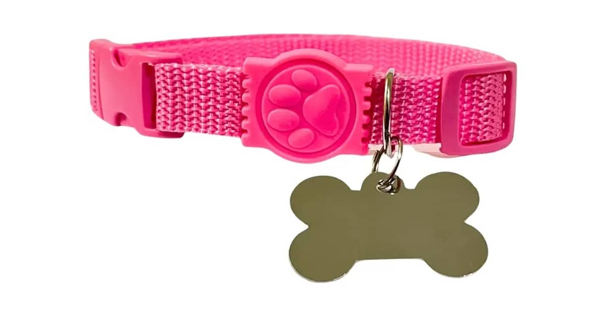 Melhores Coleiras para Cachorro com Placa de Identificação Gravada: Guia de Segurança