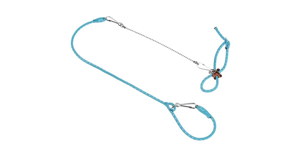 Melhores Coleiras para Furão: Qual a Mais Segura?