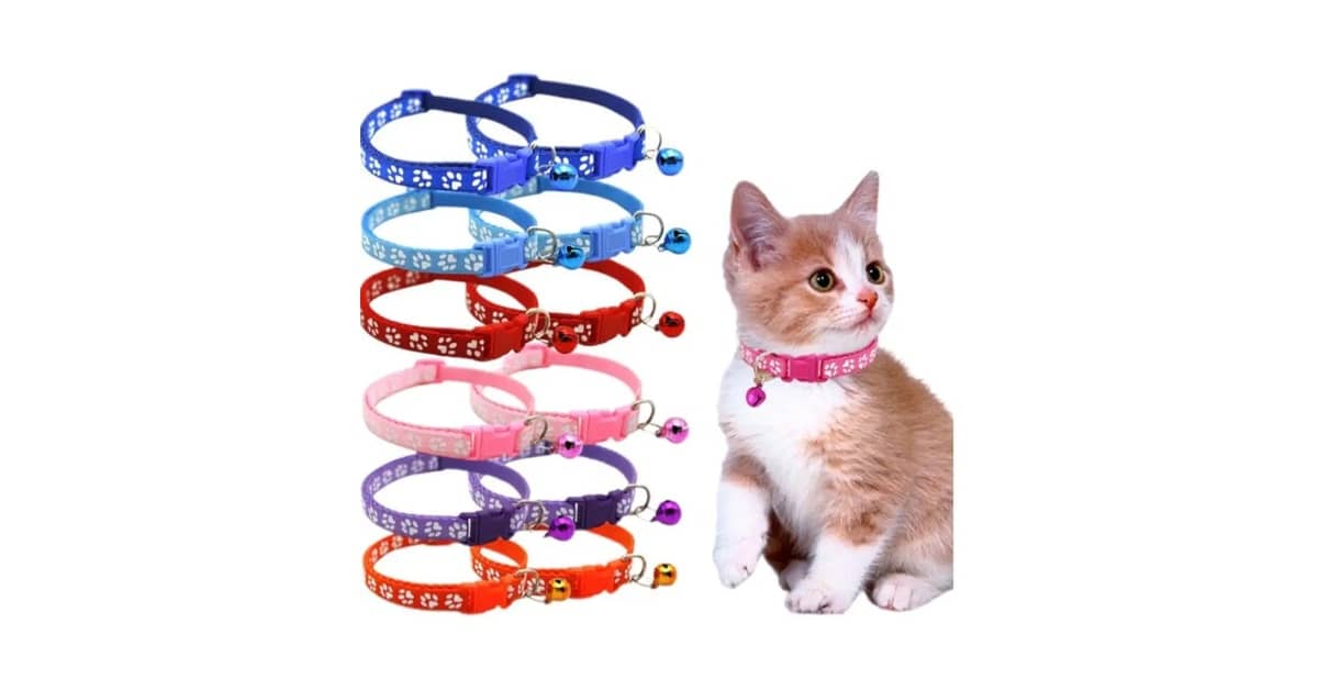 Melhores Coleiras para Gato com Guizo: 10 Seguras