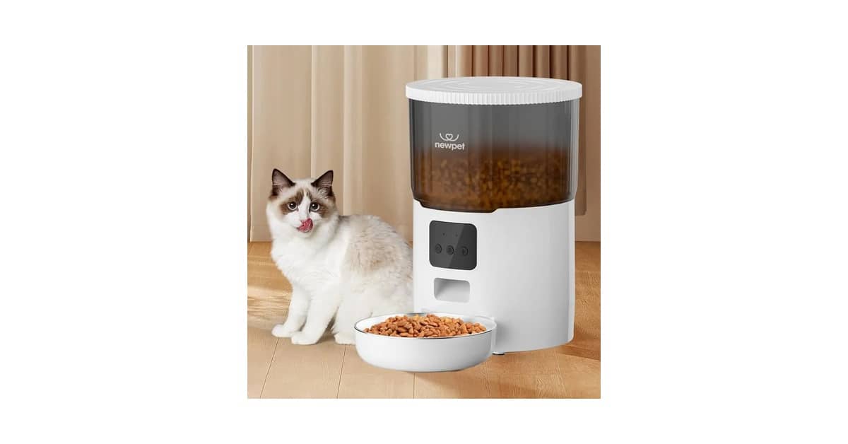 Melhores comedouros automáticos para gatos: Qual o Ideal?