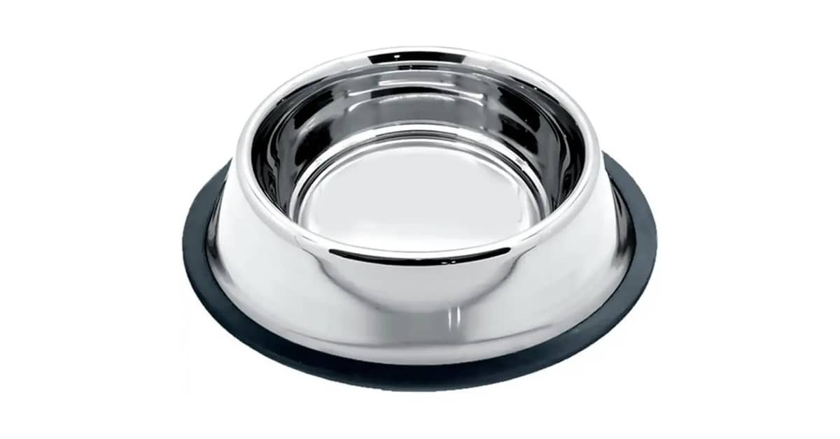 Melhores comedouros de inox para cachorro: Top 10
