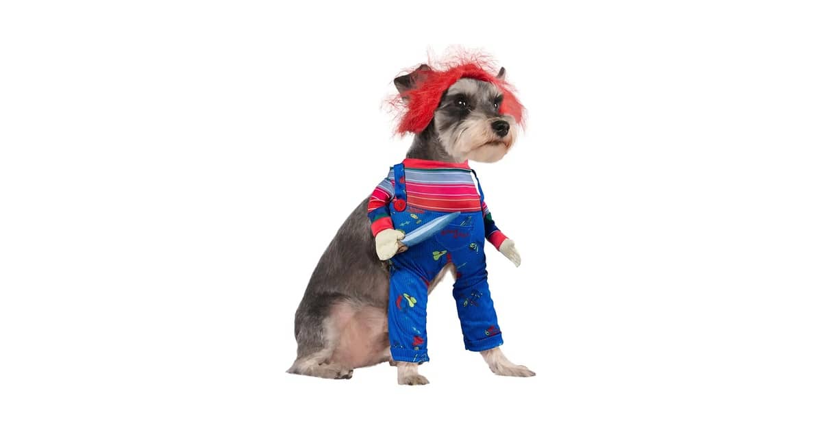 Melhores Fantasias de Halloween Para Cachorro: Qual a Mais Divertida?