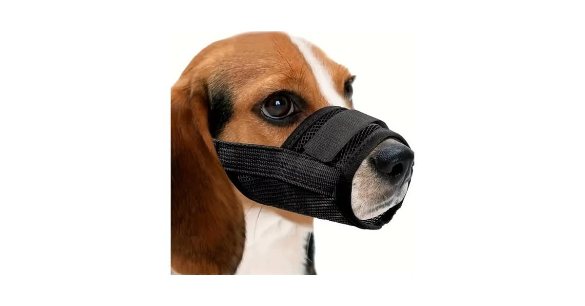 Melhores Focinheiras para Cachorro: Top 9 Seguras