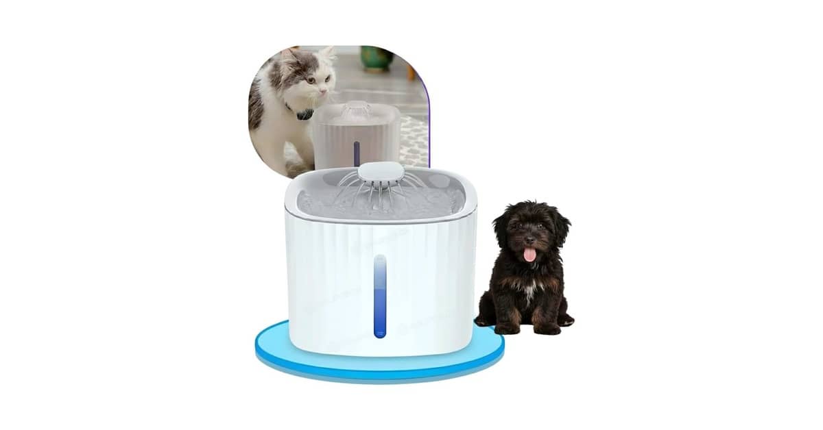 Melhores fontes para gatos com filtro de carvão ativado: Qual a Ideal?