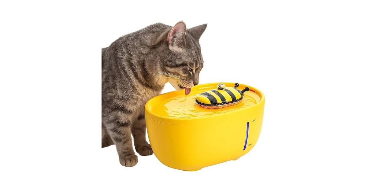 Melhores Fontes para Gatos com Indicador de Nível de Água: Qual a Mais Segura?