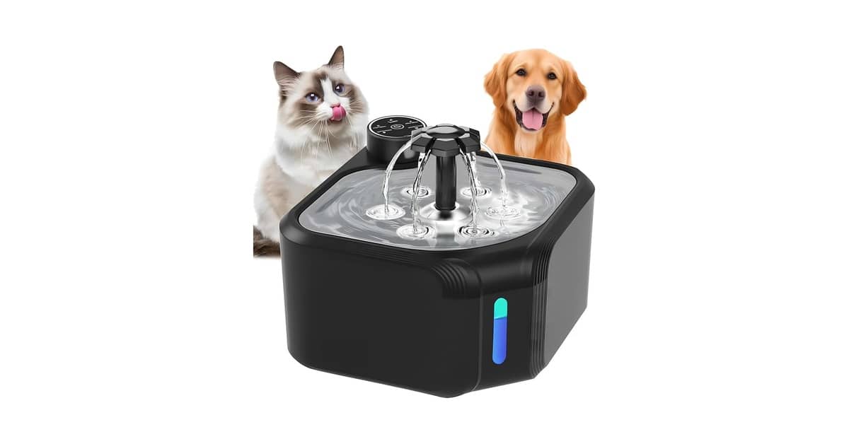 Melhores Fontes Para Gatos Com Reservatório Grande: Qual a Ideal?