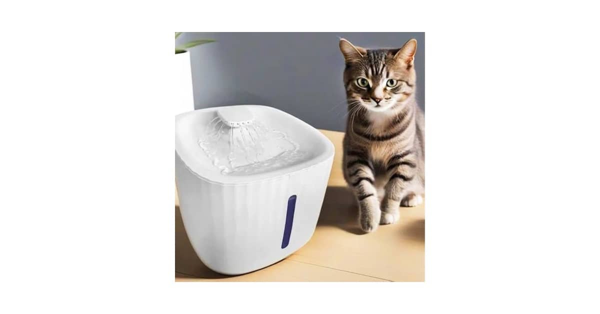 Melhores fontes para gatos que estimulam o consumo de água: Qual a Mais Silenciosa?