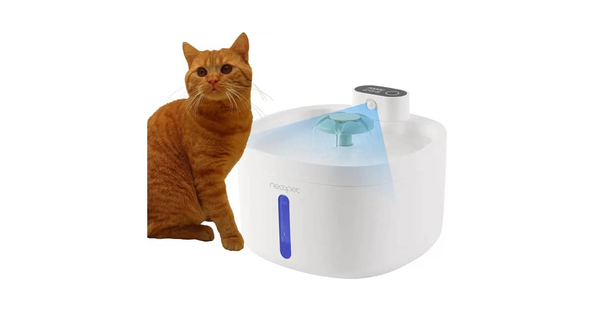 Melhores fontes para gatos que não usam eletricidade: Top 4 Sem Fio