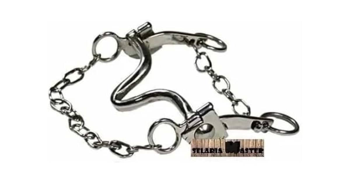 Melhores Freios para Cavalo: Conforto e Controle