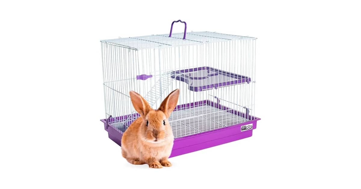Melhores gaiolas para coelho: 10 Modelos Seguros