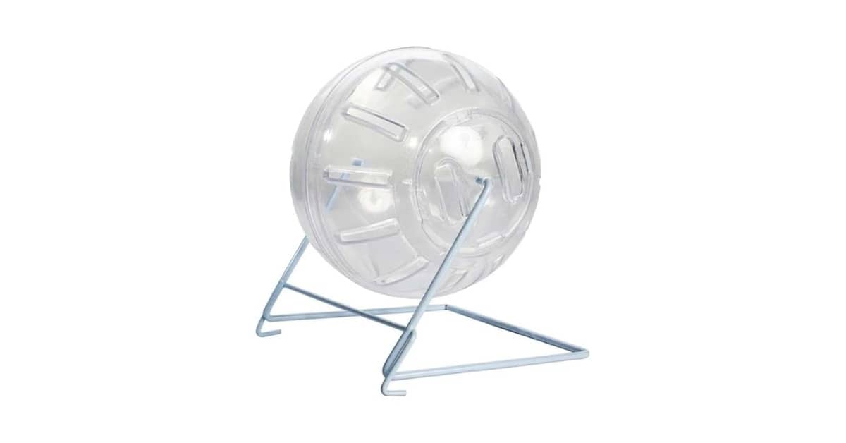 Melhores Globos de Exercício para Hamster: 10 Opções Seguras