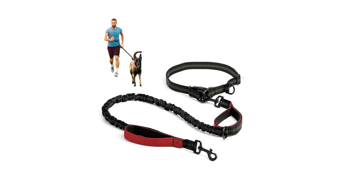 Melhores guias para corrida com cachorro: Top 8 Mãos Livres