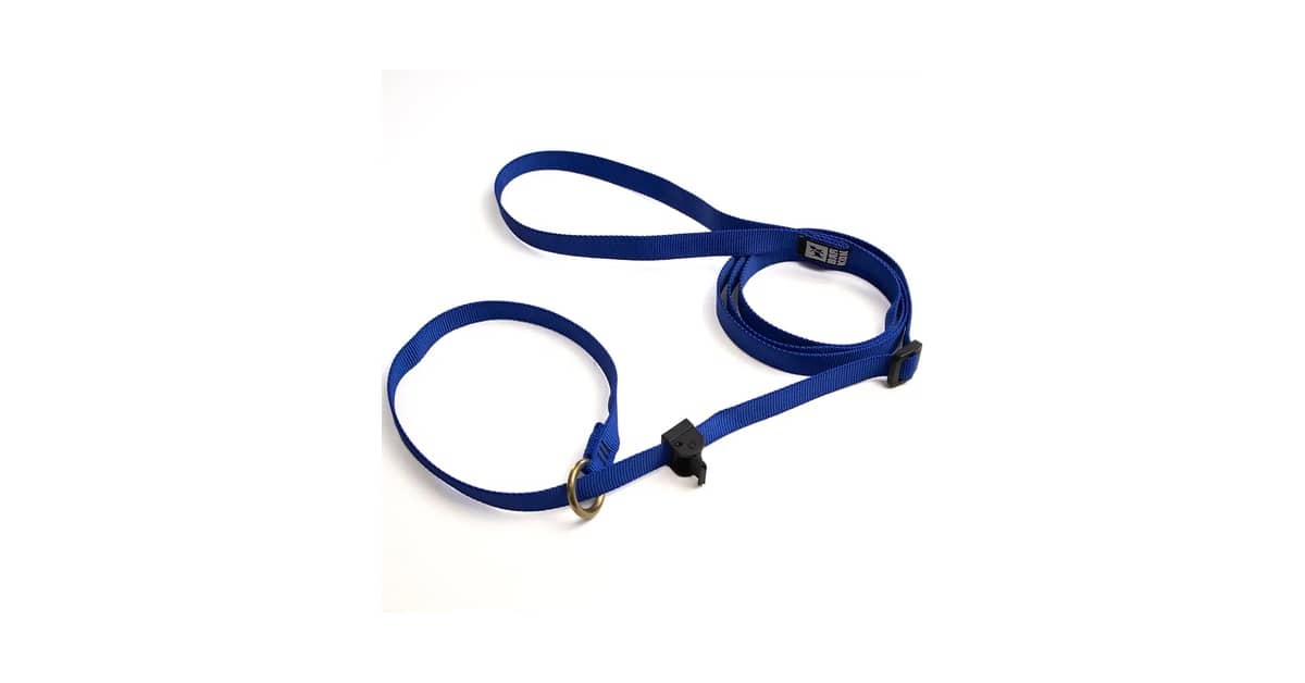 Melhores guias unificadas para cachorro para Adestramento Seguro