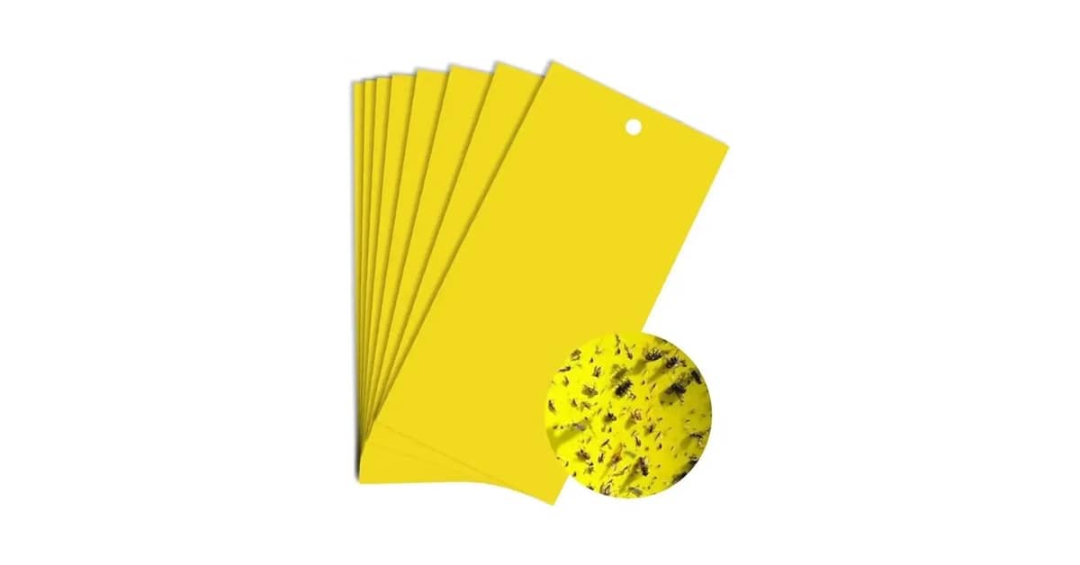 Melhores hotéis para insetos: Qual a Opção Ideal?