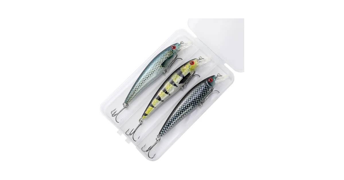 Melhores Iscas de Meia Água para Robalo: As Top 10