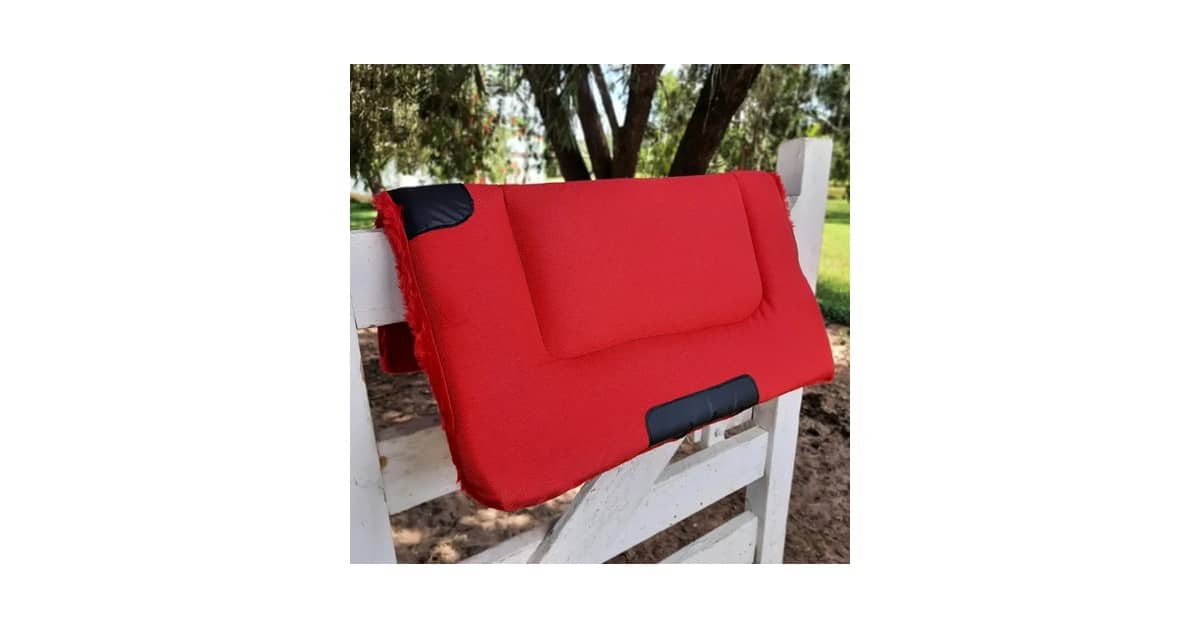 Melhores Mantas Para Cavalo Para Absorver Suor: O Guia