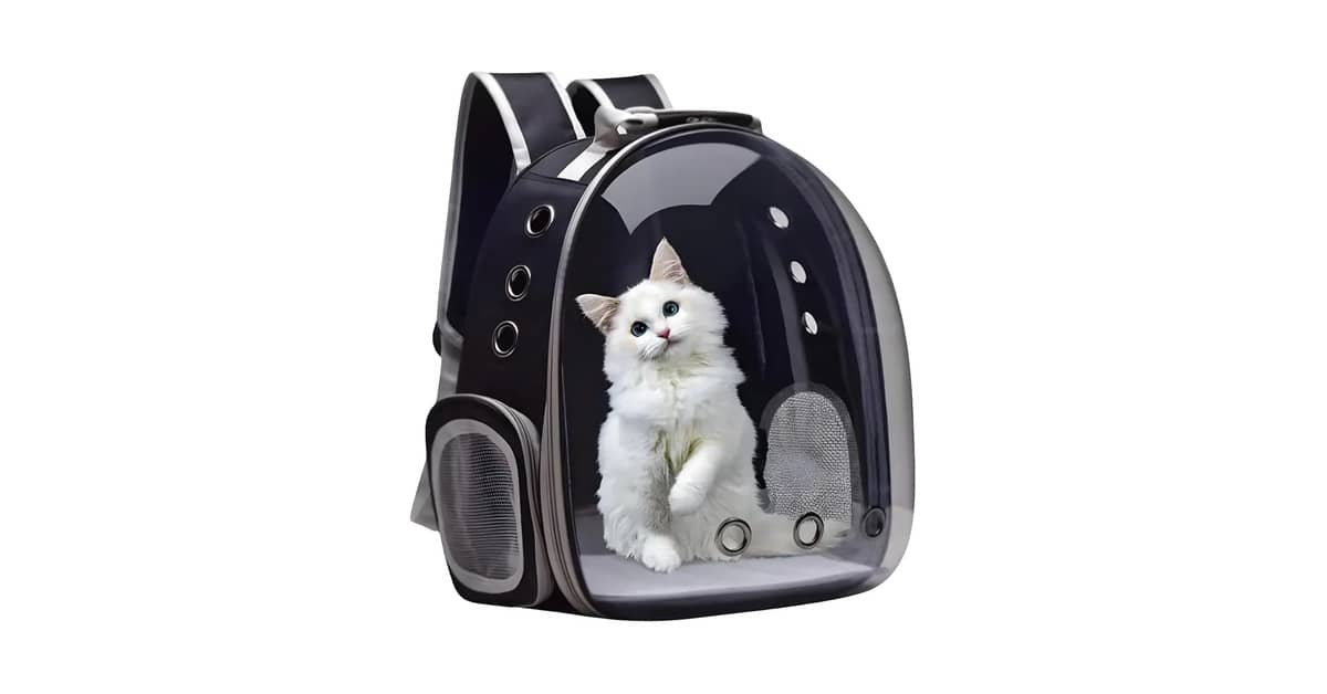 Melhores Mochilas Transparentes para Gato: Top 10