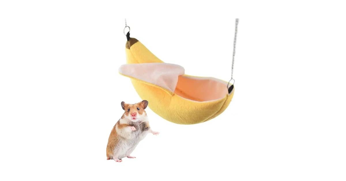 Melhores Ninhos de Algodão para Hamster: Conforto