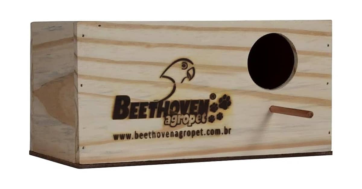 Melhores Ninhos para Calopsita: Top 10 Seguros