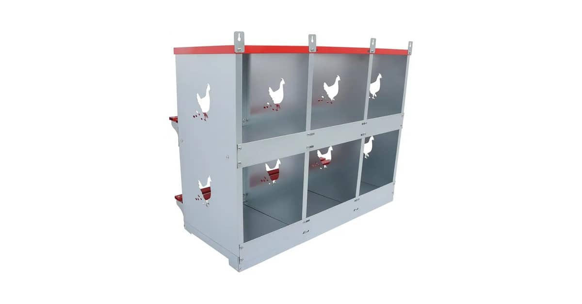 Melhores Ninhos para Galinha: 10 Modelos Duráveis