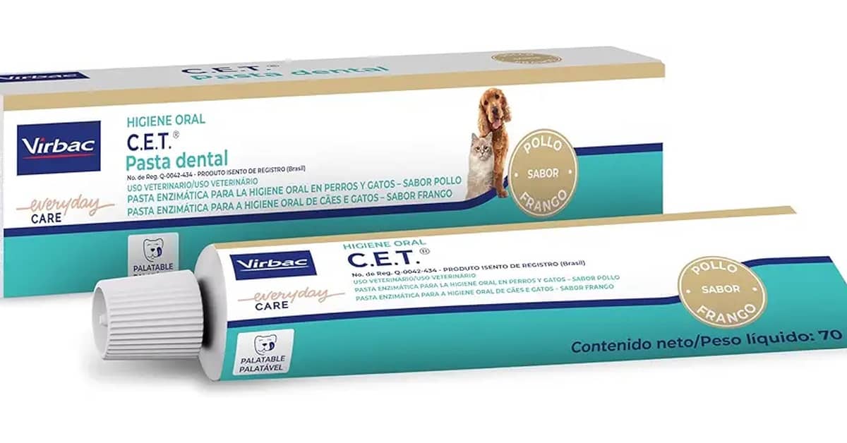 Melhores Pastas de Dente para Cachorro: Qual a Ideal?