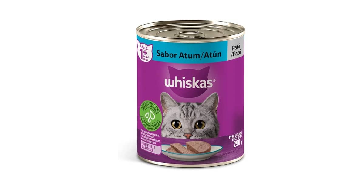 Melhores patês para gato: 9 Opções Nutritivas