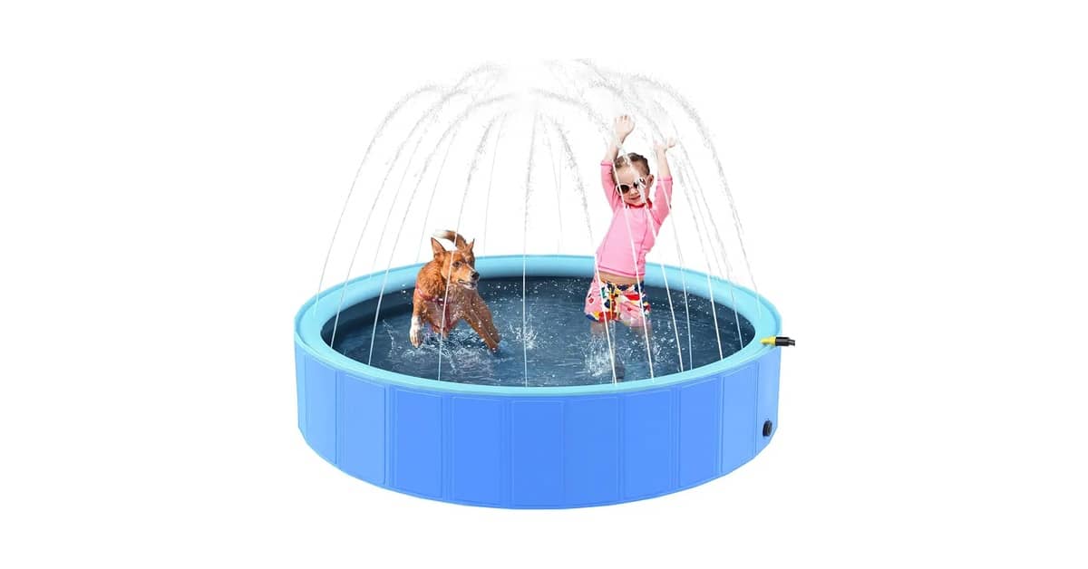 Melhores Piscinas para Cachorro: Como Escolher?