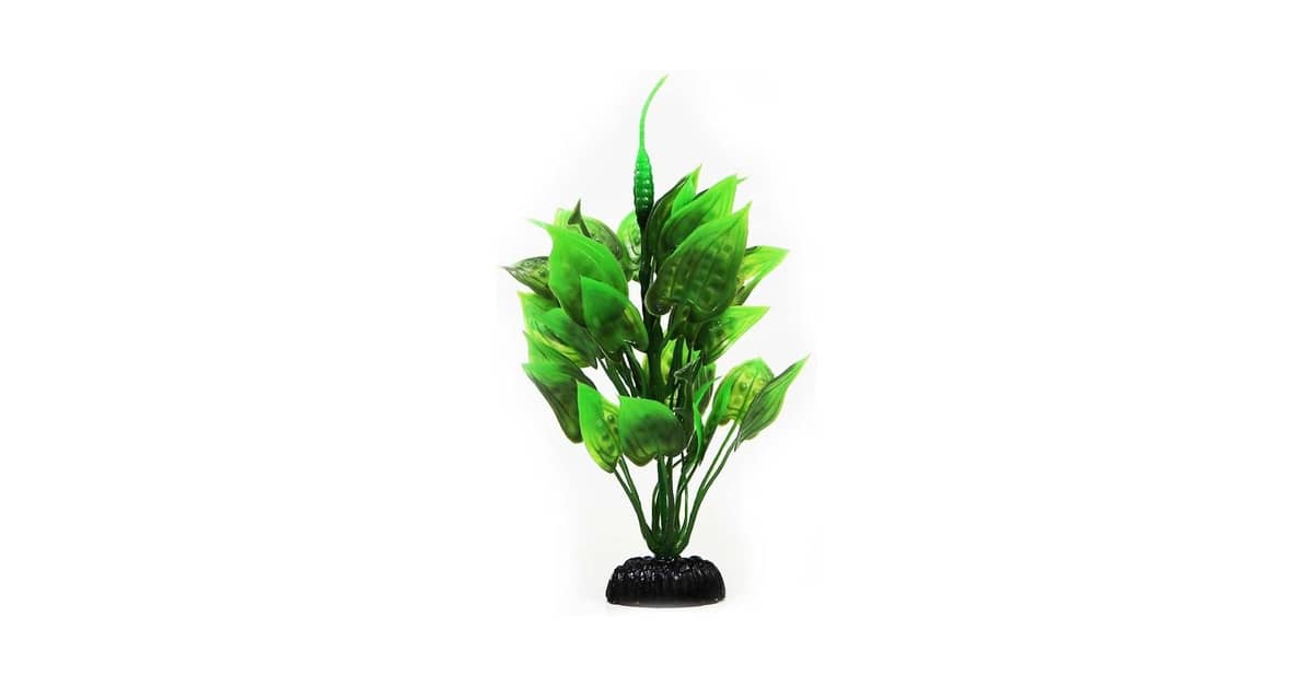Melhores plantas para aquário low tech: 10 Opções Fáceis